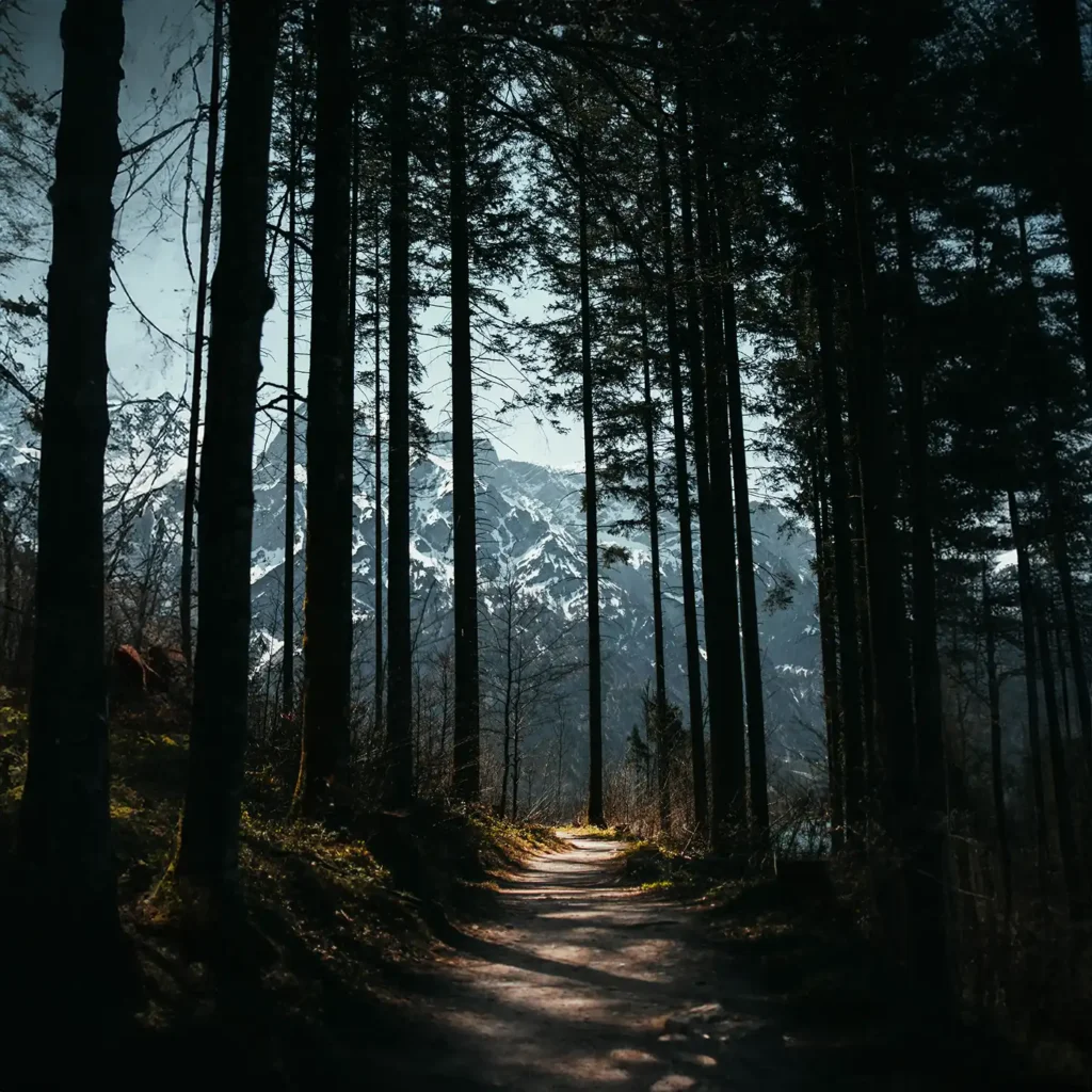 Vonný olej Kašmírové dřevo