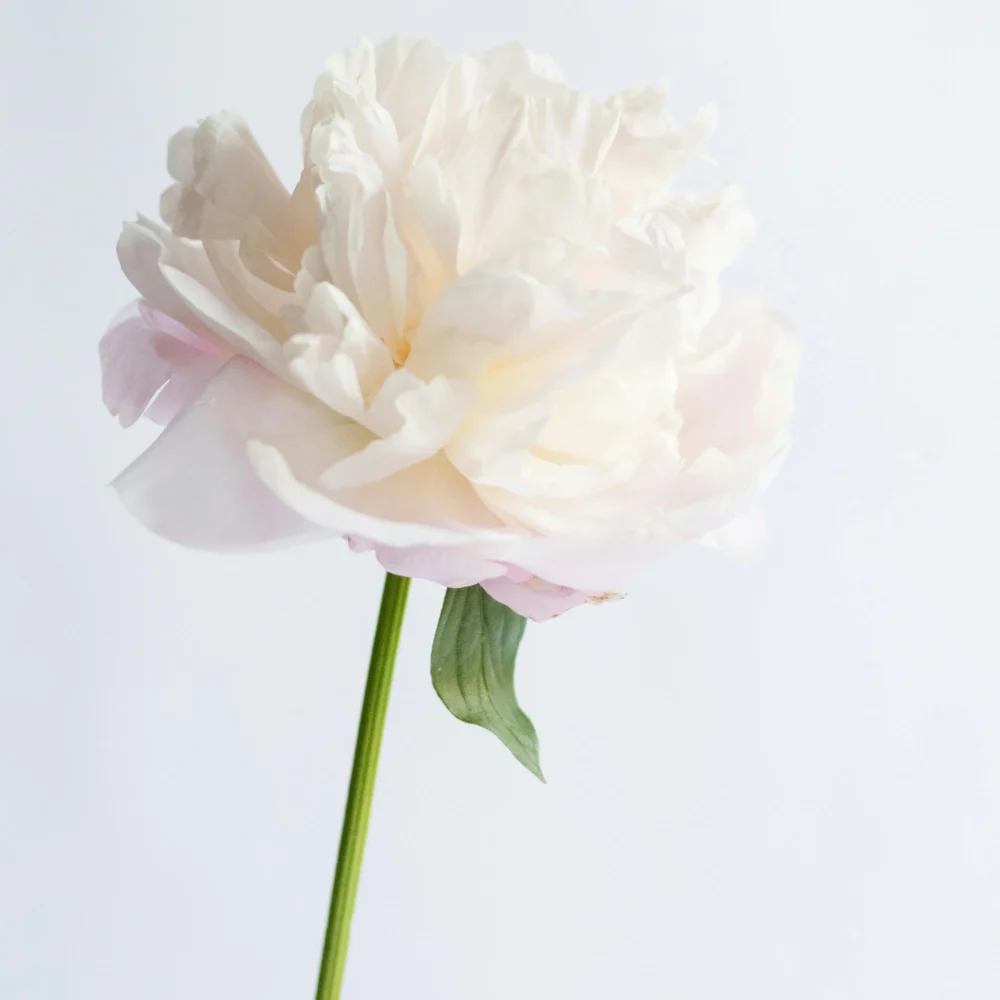 Ciao Bella scented candle