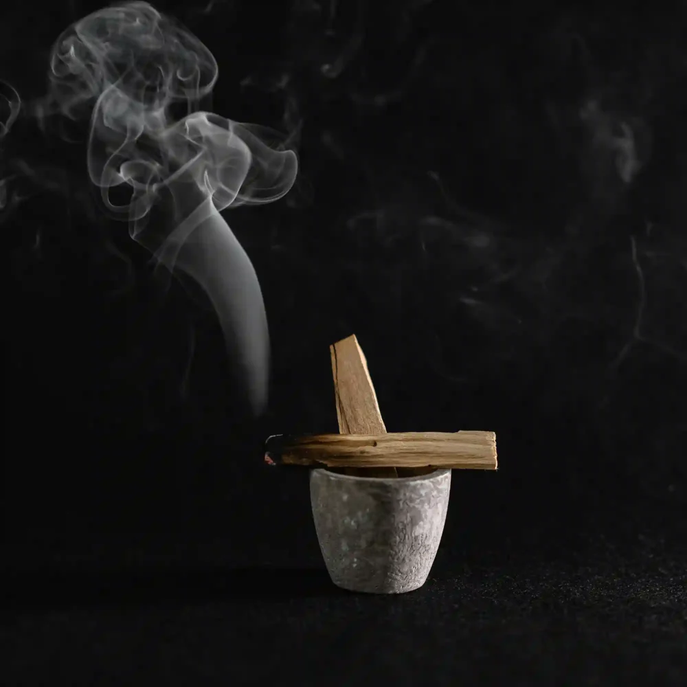 Palo Santo scented wax for aroma lamp 20g