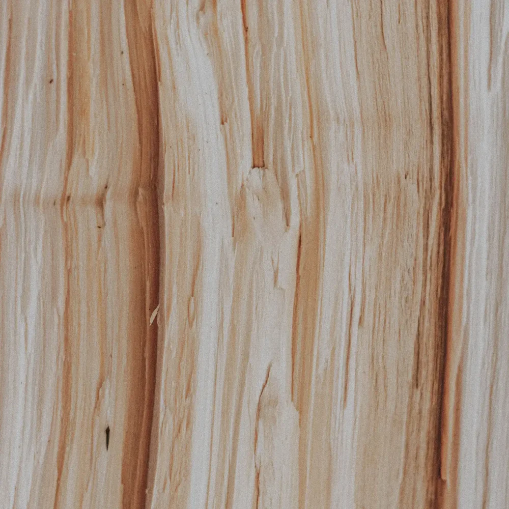 Sandal Oud scented candle