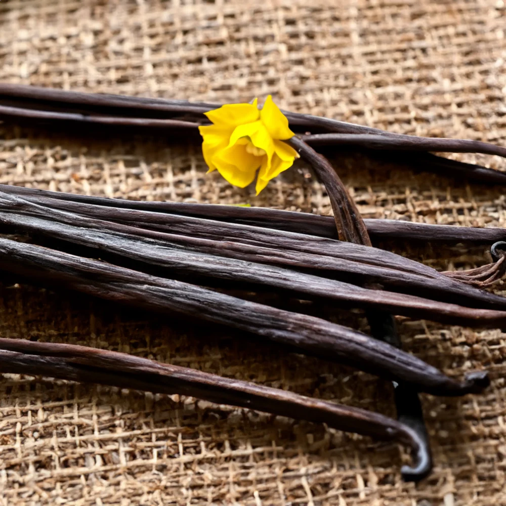 French Vanilla fragrance oil