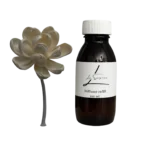 Refill 100ml + Lotus Flower